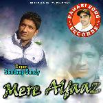 Mere Alfaaz - Anil Chopra Song Download
